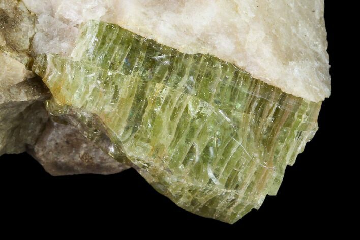 Yellow-Green Fluorapatite Crystal in Calcite - Ontario, Canada #137101